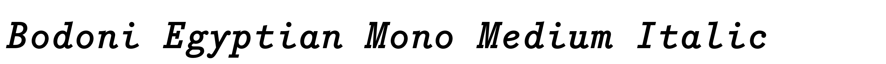 Bodoni Egyptian Mono Medium Italic